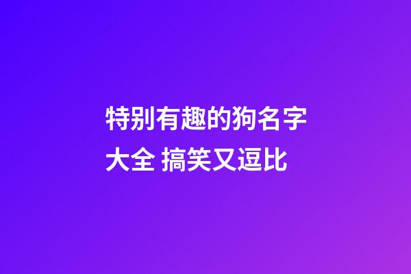 特别有趣的狗名字大全 搞笑又逗比